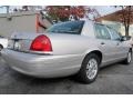 2004 Silver Birch Metallic Ford Crown Victoria LX  photo #3