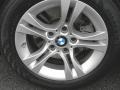 2008 Platinum Bronze Metallic BMW 3 Series 328i Sedan  photo #29