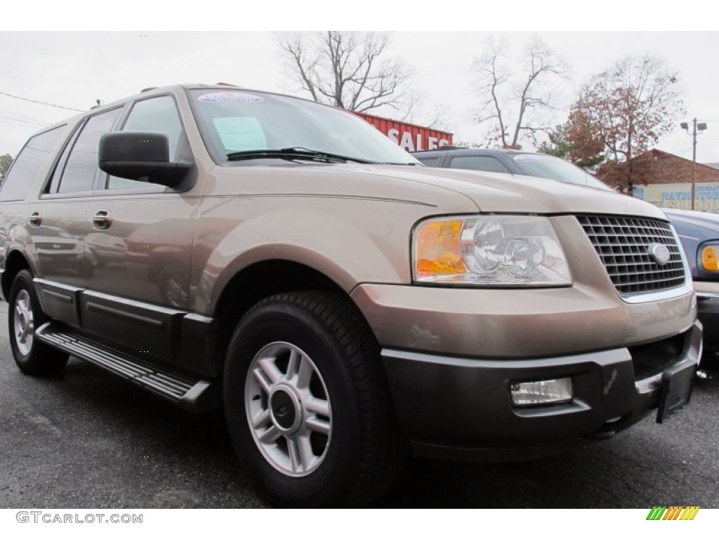 2003 Expedition XLT 4x4 - Arizona Beige Metallic / Medium Parchment photo #4