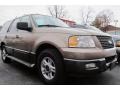 2003 Arizona Beige Metallic Ford Expedition XLT 4x4  photo #4
