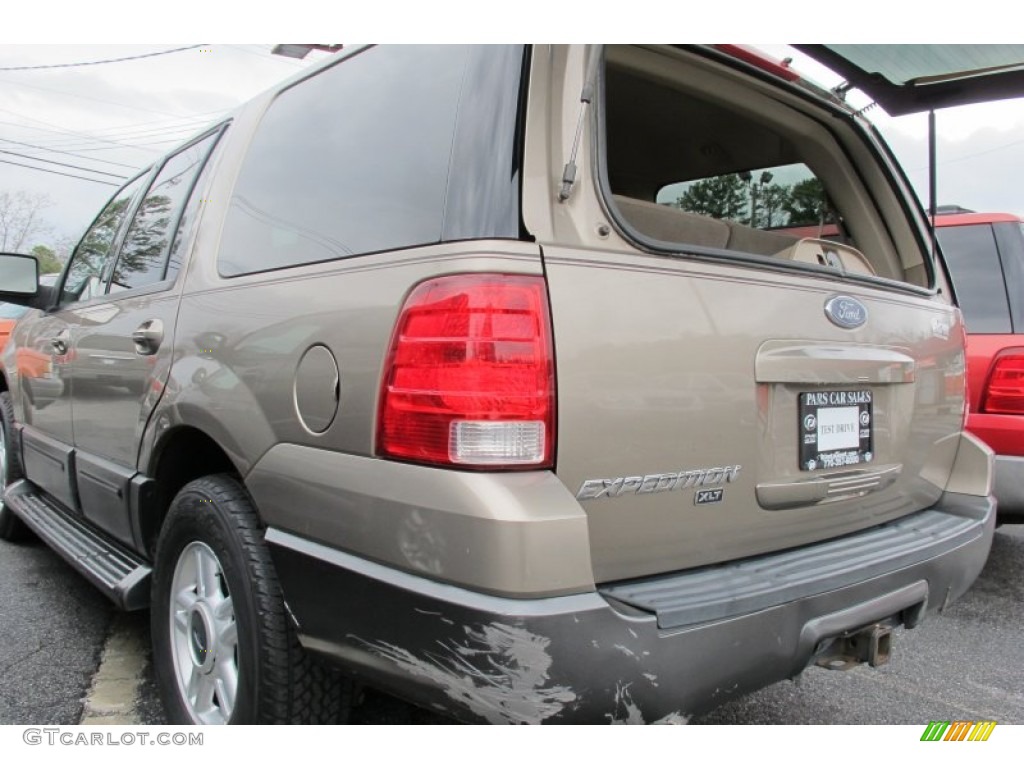 2003 Expedition XLT 4x4 - Arizona Beige Metallic / Medium Parchment photo #9