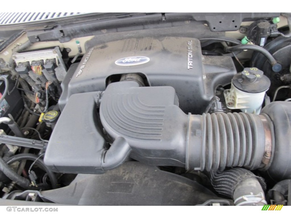 2003 Expedition XLT 4x4 - Arizona Beige Metallic / Medium Parchment photo #14