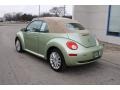 Gecko Green - New Beetle SE Convertible Photo No. 6