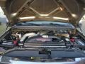 Arizona Beige Metallic - F350 Super Duty XLT Crew Cab 4x4 Photo No. 14