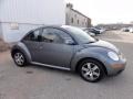 Platinum Grey - New Beetle 2.5 Coupe Photo No. 6