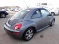 Platinum Grey - New Beetle 2.5 Coupe Photo No. 8