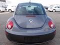 Platinum Grey - New Beetle 2.5 Coupe Photo No. 9