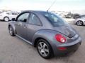 Platinum Grey - New Beetle 2.5 Coupe Photo No. 10