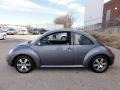 Platinum Grey - New Beetle 2.5 Coupe Photo No. 11