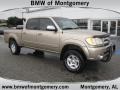 Desert Sand Mica 2004 Toyota Tundra SR5 TRD Double Cab 4x4