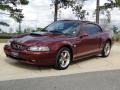 2004 40th Anniversary Crimson Red Metallic Ford Mustang GT Coupe  photo #10