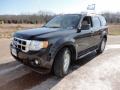 Tuxedo Black Metallic - Escape XLT Photo No. 11