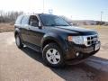 Tuxedo Black Metallic - Escape XLT Photo No. 1