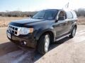Tuxedo Black Metallic - Escape XLT Photo No. 11