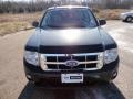 Tuxedo Black Metallic - Escape XLT Photo No. 12