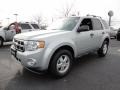 2012 Ingot Silver Metallic Ford Escape XLT  photo #1