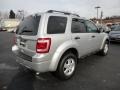 2012 Ingot Silver Metallic Ford Escape XLT  photo #5