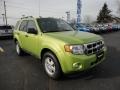 2012 Lime Squeeze Metallic Ford Escape XLT  photo #7