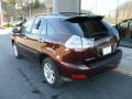 2009 Brandywine Mica Lexus RX 350 AWD  photo #3