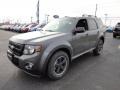 Sterling Gray Metallic 2012 Ford Escape XLT Sport AWD Exterior