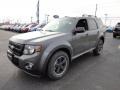 2012 Sterling Gray Metallic Ford Escape XLT Sport AWD  photo #1