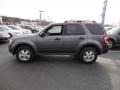 Sterling Gray Metallic - Escape XLT 4WD Photo No. 2