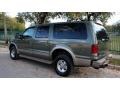 Estate Green Metallic - Excursion Eddie Bauer 4x4 Photo No. 7