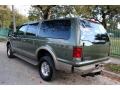 Estate Green Metallic - Excursion Eddie Bauer 4x4 Photo No. 9