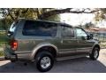 Estate Green Metallic - Excursion Eddie Bauer 4x4 Photo No. 11