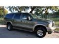 Estate Green Metallic - Excursion Eddie Bauer 4x4 Photo No. 15