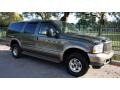 Estate Green Metallic - Excursion Eddie Bauer 4x4 Photo No. 16