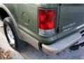 Estate Green Metallic - Excursion Eddie Bauer 4x4 Photo No. 25