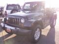 Steel Blue Metallic - Wrangler Sahara 4x4 Photo No. 1