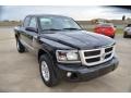 2011 Brilliant Black Crystal Pearl Dodge Dakota Lone Star Crew Cab  photo #8