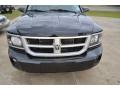 Brilliant Black Crystal Pearl - Dakota Lone Star Crew Cab Photo No. 9