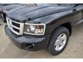 Brilliant Black Crystal Pearl - Dakota Lone Star Crew Cab Photo No. 10
