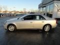 Light Platinum - CTS Sedan Photo No. 6