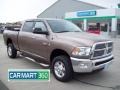 Austin Tan Pearl 2010 Dodge Ram 2500 Big Horn Edition Crew Cab 4x4