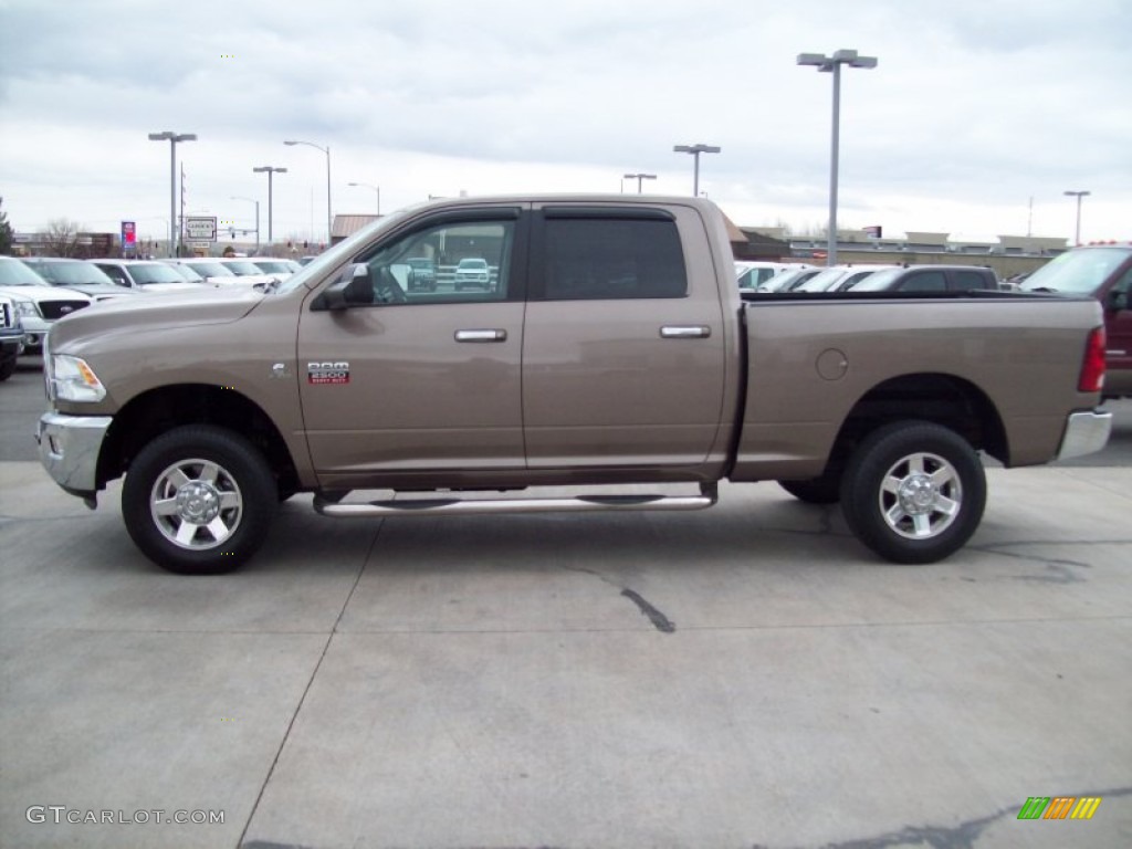 Austin Tan Pearl 2010 Dodge Ram 2500 Big Horn Edition Crew Cab 4x4 Exterior Photo #59423276