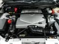 Light Platinum - SRX V6 Photo No. 26