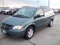 2006 Magnesium Pearl Dodge Grand Caravan SXT  photo #5