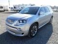 Quicksilver Metallic - Acadia Denali AWD Photo No. 3