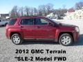 Merlot Jewel Metallic - Terrain SLE Photo No. 1