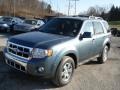Steel Blue Metallic - Escape Limited 4WD Photo No. 4