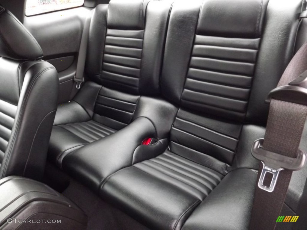 Charcoal Black Interior 2010 Ford Mustang V6 Premium Coupe Photo #59435525