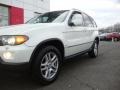 Alpine White - X5 3.0i Photo No. 2