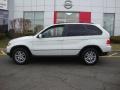 Alpine White - X5 3.0i Photo No. 3