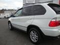 Alpine White - X5 3.0i Photo No. 4