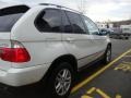 Alpine White - X5 3.0i Photo No. 7