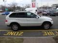 Alpine White - X5 3.0i Photo No. 8